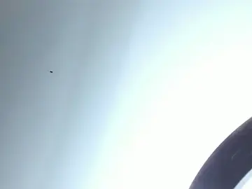 Inate_danger  live sex cam