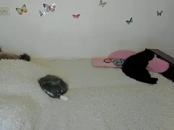NataliEvans  live sex cam