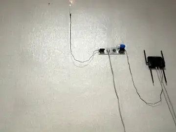 SwellJoy  live sex cam