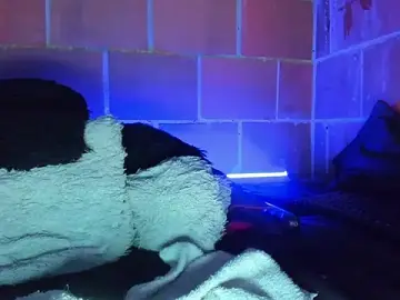 Cata-angel  live sex cam
