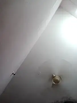 Pallaviiii  live sex cam