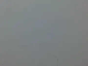 Daphne160920  live sex cam