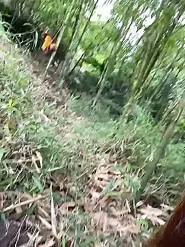 Kibennet  live sex cam