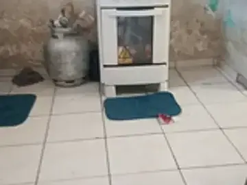 ____bucetuda-------  live sex cam