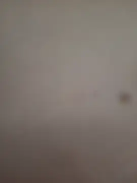 Lunavelvetp  live sex cam