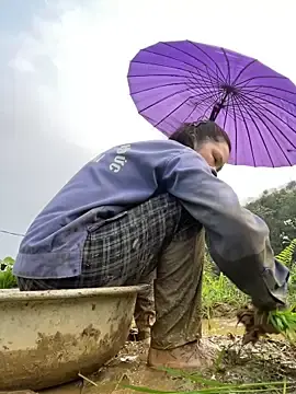 Beautiful_Ly  live sex cam