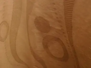 Madelene  live sex cam