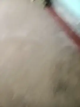Purnima81  live sex cam