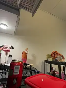 Ladyturtle  live sex cam