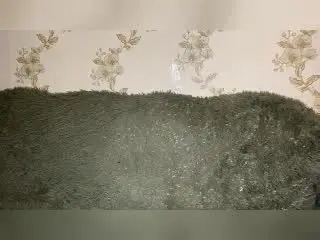 DinahLackey  live sex cam