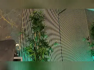 SpicyLeila  live sex cam