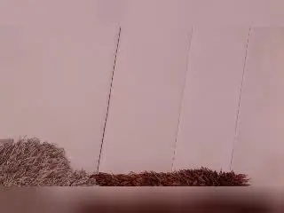 LannyShell  live sex cam