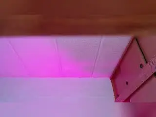 AmyStreetwise69  live sex cam