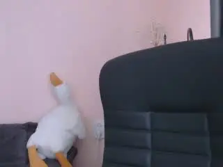 KrooxJust  live sex cam