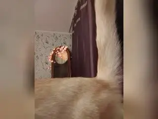 AvaQueen  live sex cam
