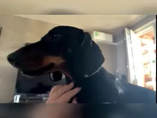 MarvelPudlinski  live sex cam