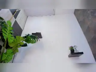 MiaRouusee  live sex cam