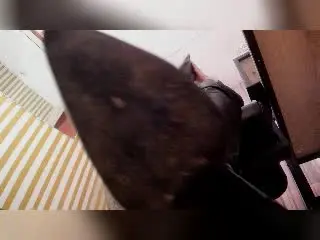 ScarlettBarness  live sex cam