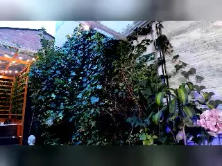 AmberQueeny  live sex cam