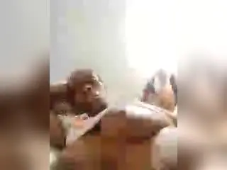 CanelaMorena  live sex cam