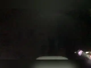 NellieVanduyne  live sex cam