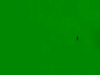 CelesteMorel  live sex cam