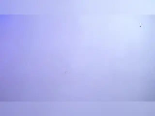 SammyViolet  live sex cam