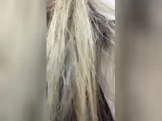 AdharaCooperr  live sex cam