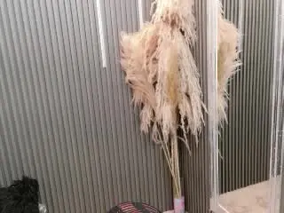 MichelleFlores  live sex cam