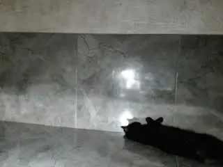 ValeryaInteresting  live sex cam