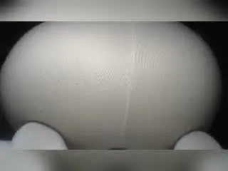 PrettyAngelSquirt  live sex cam