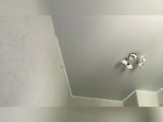 MertieDasinger  live sex cam