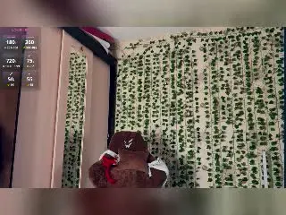 VondaBojko  live sex cam